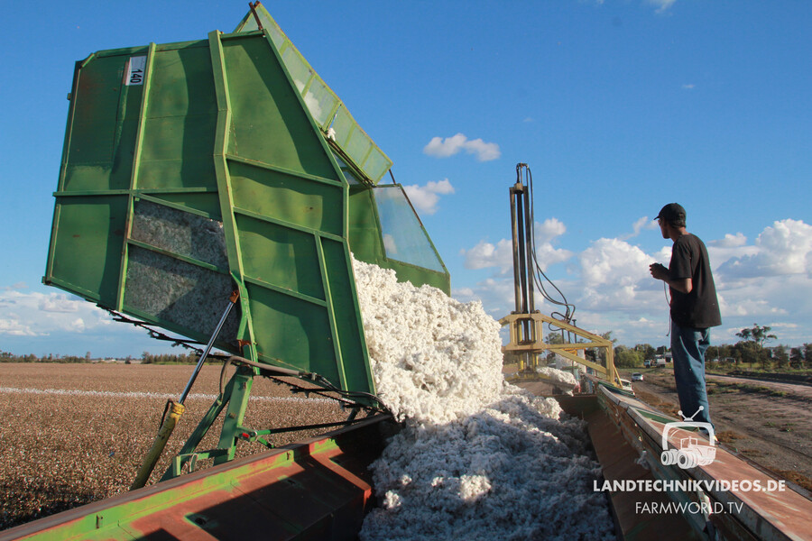 Cotton Harvest_08.jpg
